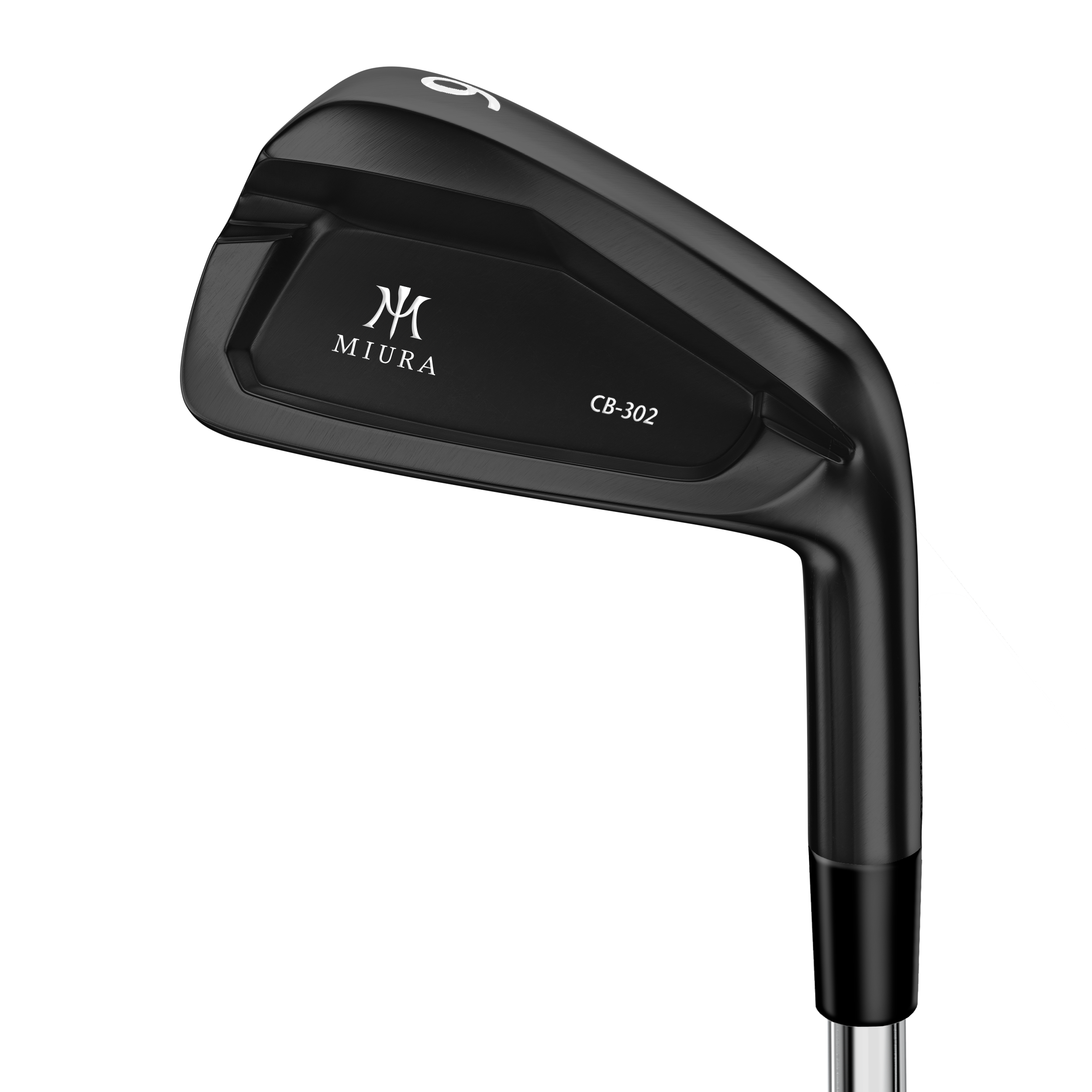 Miura CB-302 QPQ Custom Irons