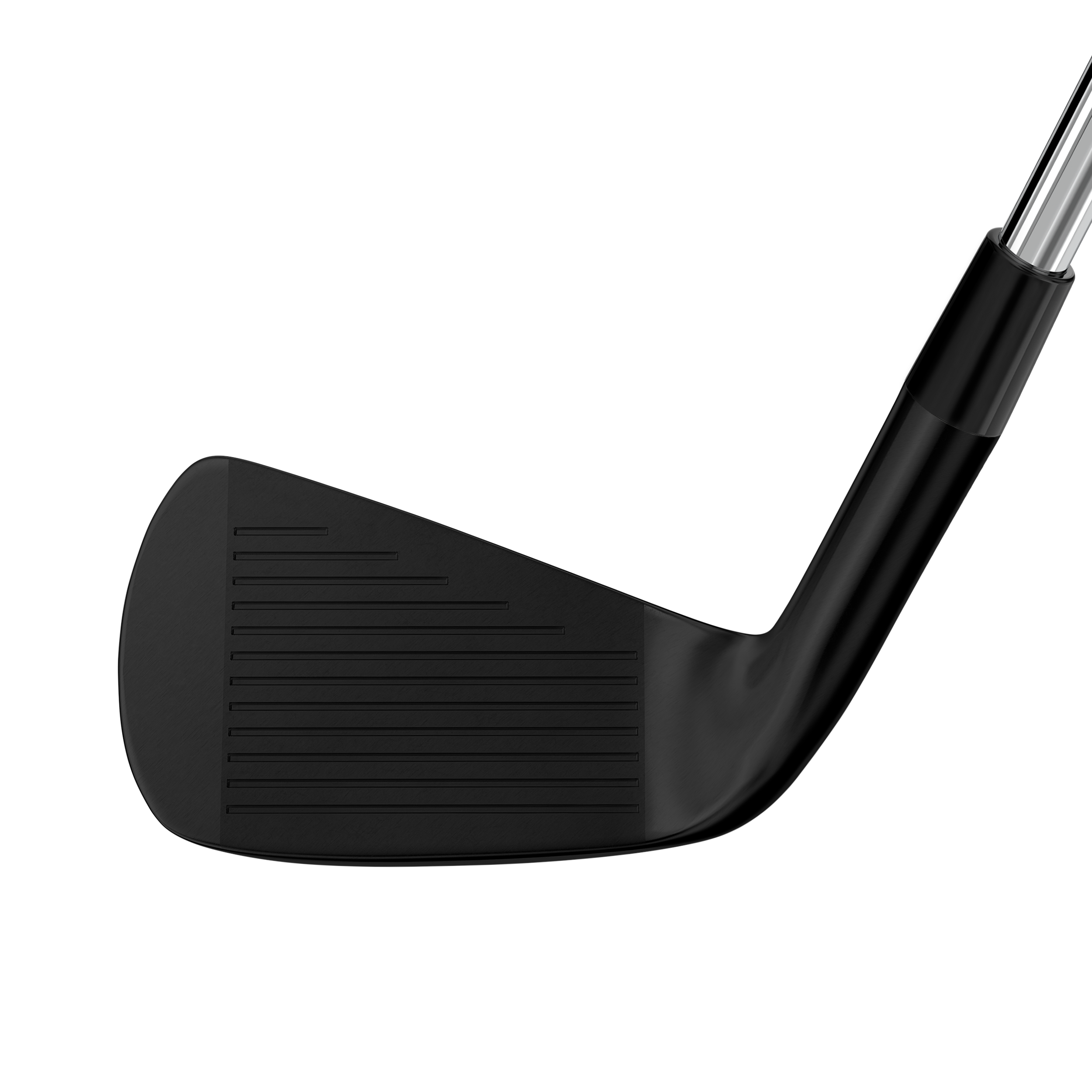 Miura CB-302 QPQ Custom Irons