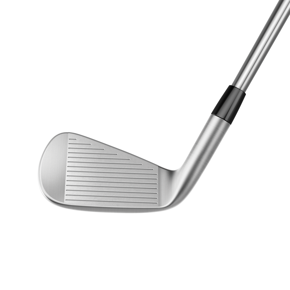 TaylorMade P770 Custom Irons